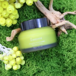 有機蠟菊永恆活肌精華面霜 50g 有機蠟菊永恆活肌精華面霜 50g