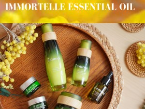 永不凋謝的花 - 麥桿菊 Immortelle